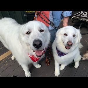 Meet your Posher, Julia